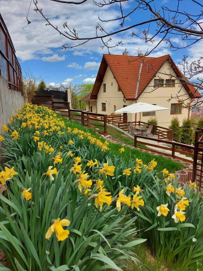 Apartament Matei Braşov Eksteriør bilde