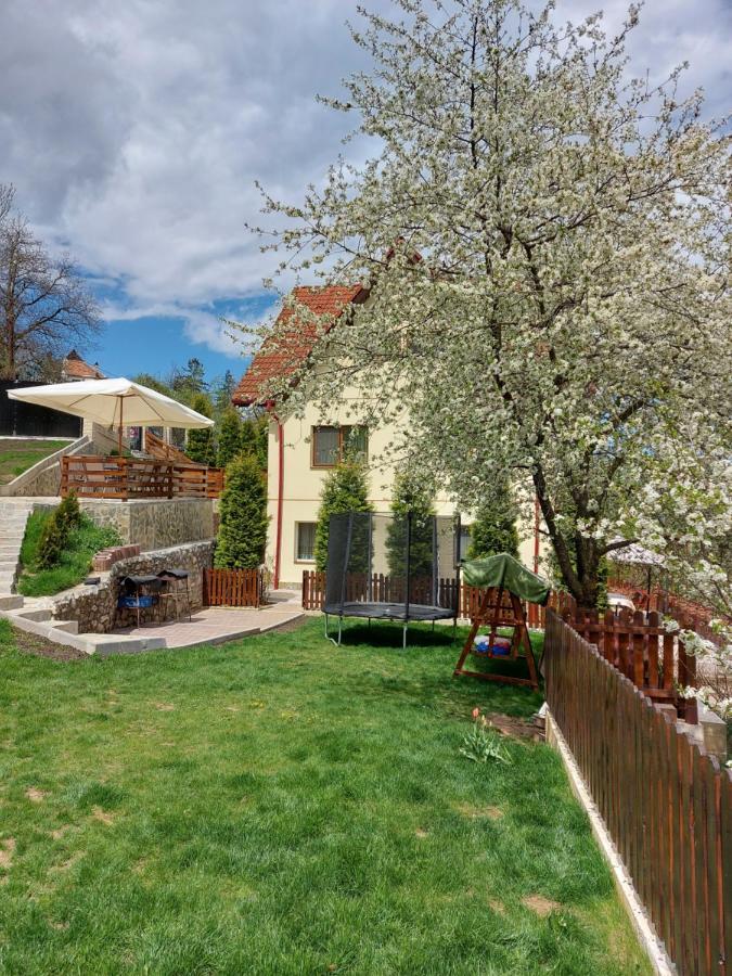 Apartament Matei Braşov Eksteriør bilde